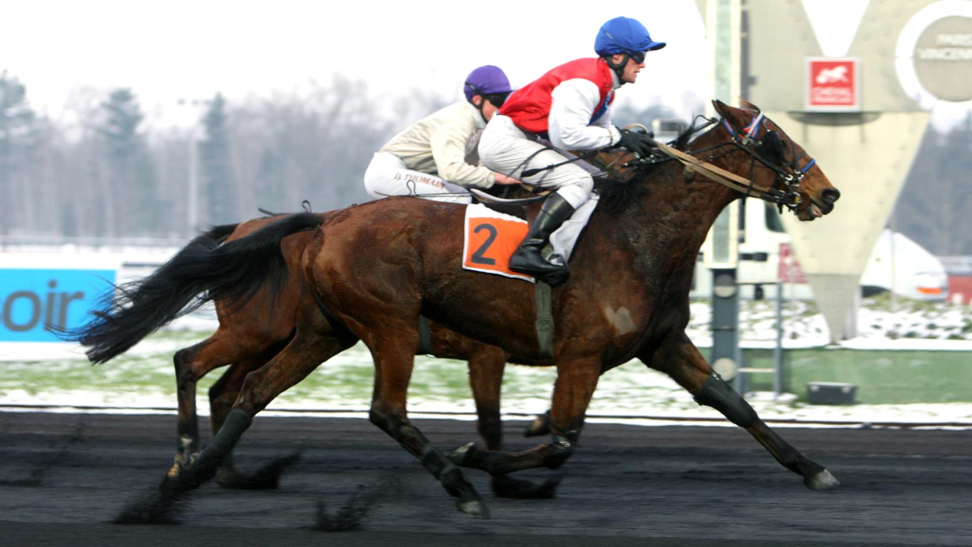 ©Scoopdyga - Plenty Pocket, première gagnante du Prix du Calvados nouvelle version