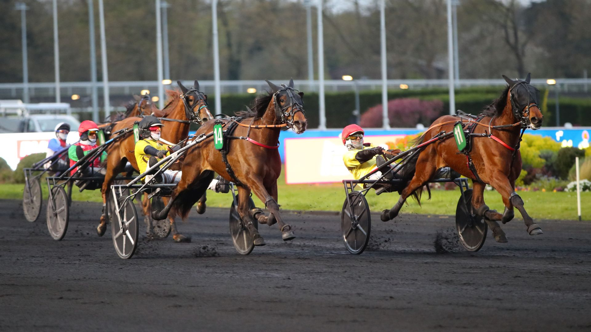 Noneka et Nafi de Rêve d'Or dans le Prix Fama - ©Aprh