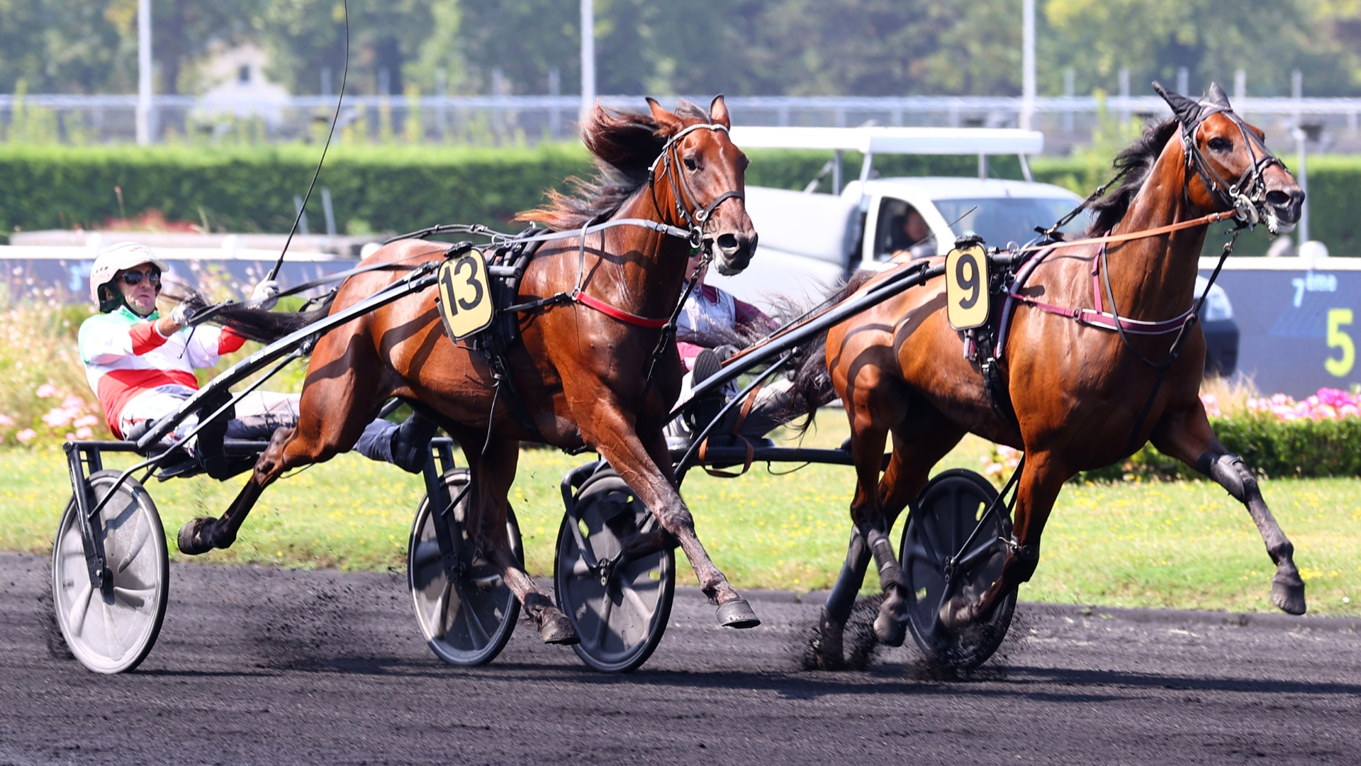 Mille Etoiles - Magic Night