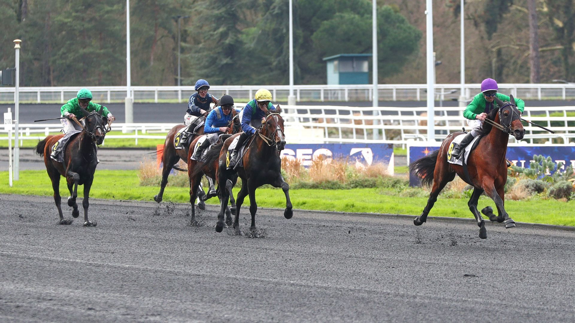 Lovissime, Lisbonne Dry, Little Orélie, Lionheart