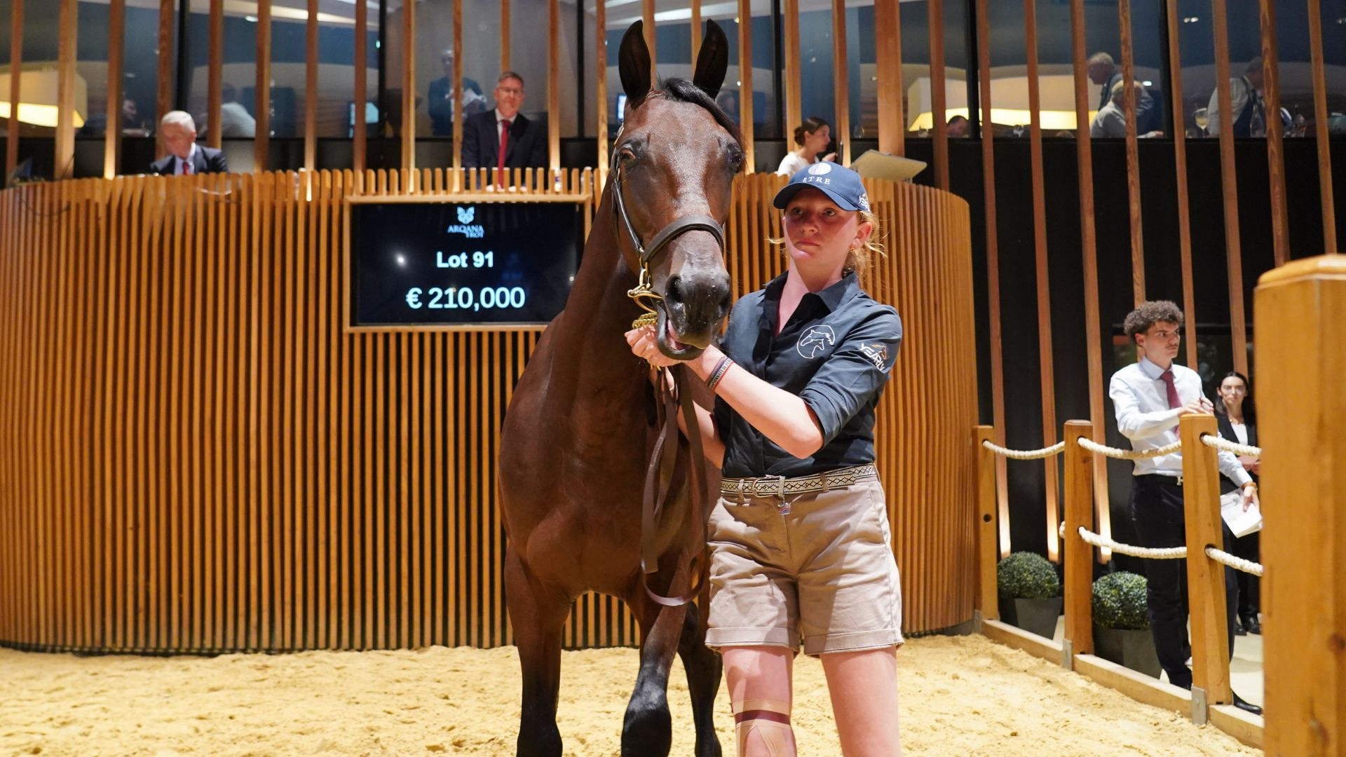 Le lot 91 Punky Marquis a fait afficher 280.000 € - © Province Courses / E. Callier