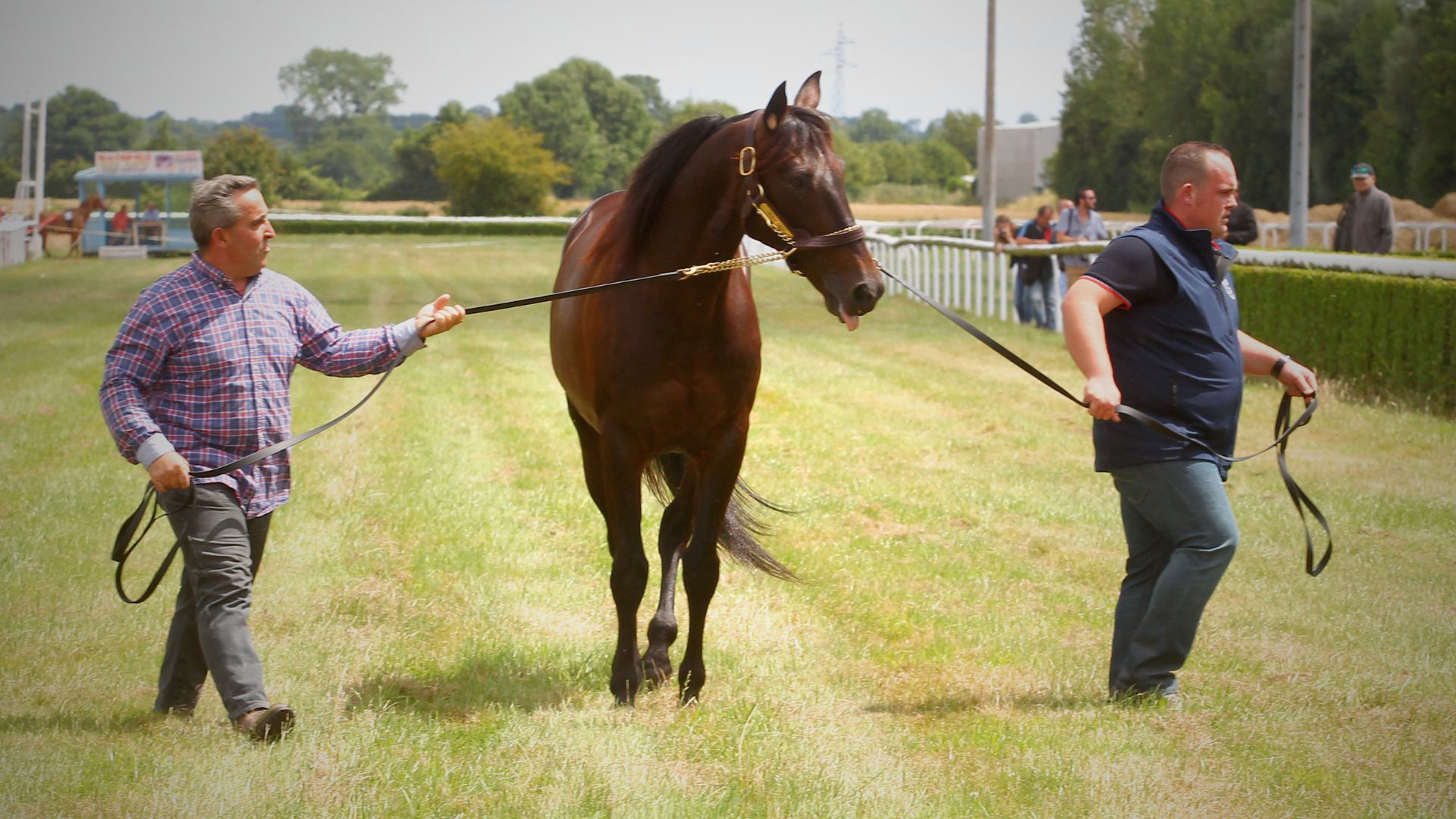 Ready Cash présenté au public de Lisieux en 2015  - ©Aprh
