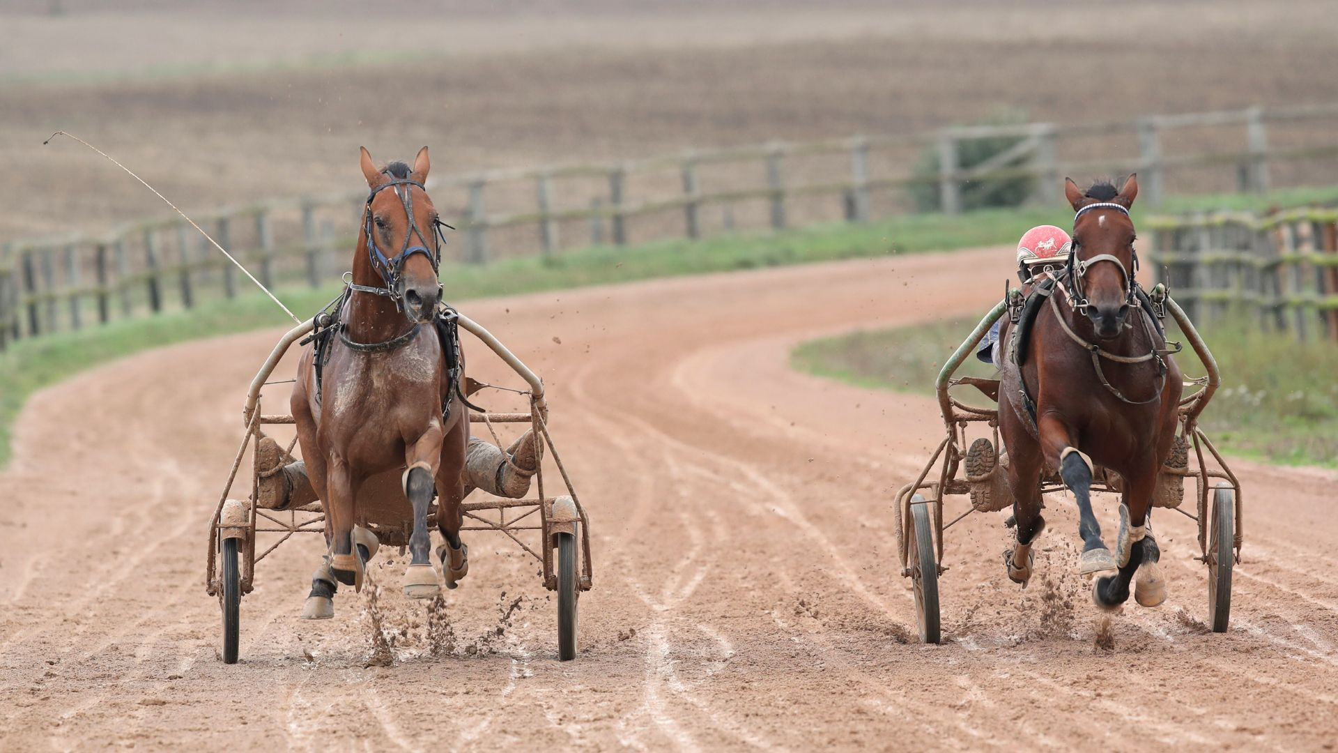 Séance de travail sur la piste du Haras de Perroux - © J.-C. Briens