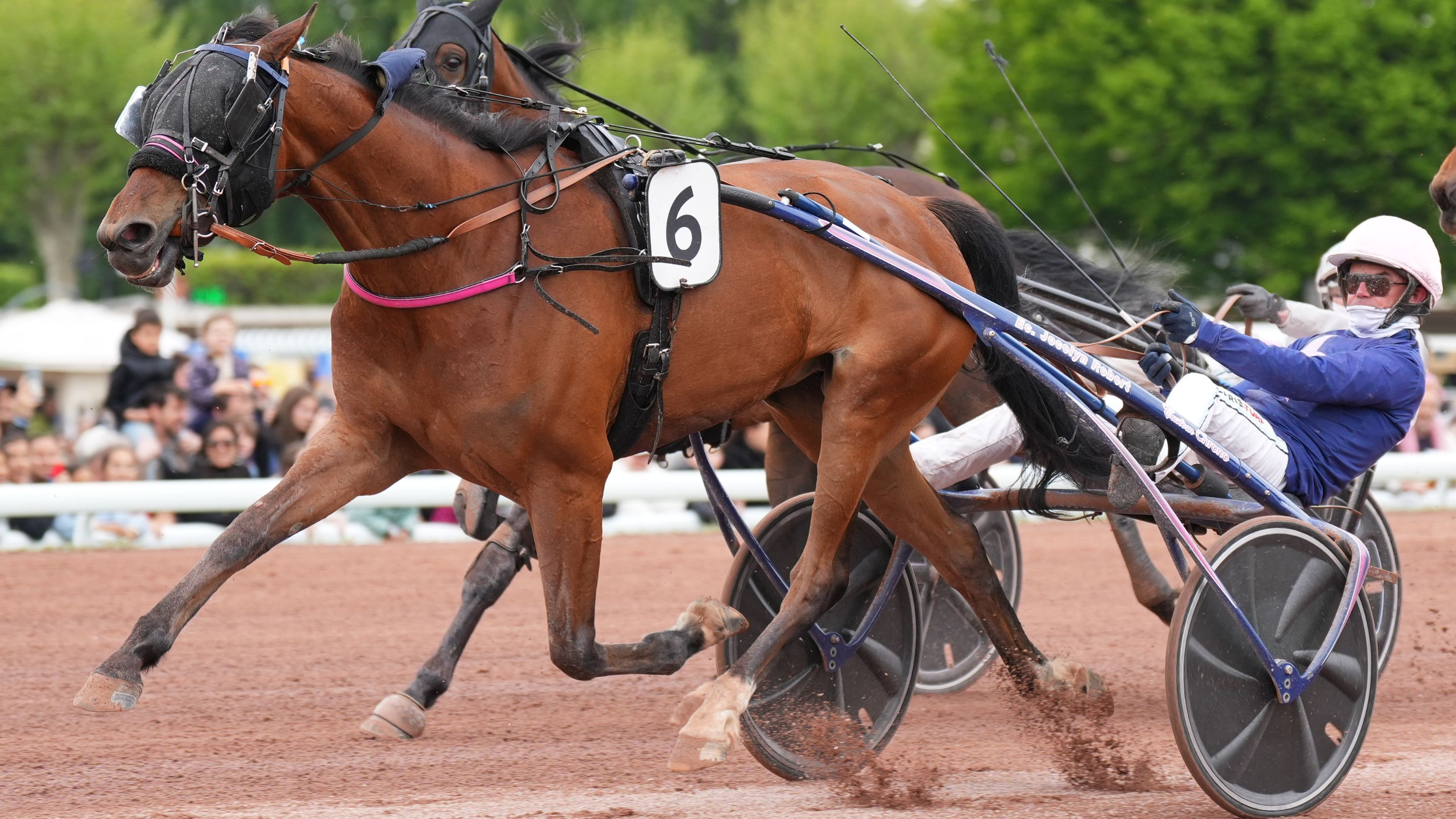 Rikita JP à Enghien - © Aprh
