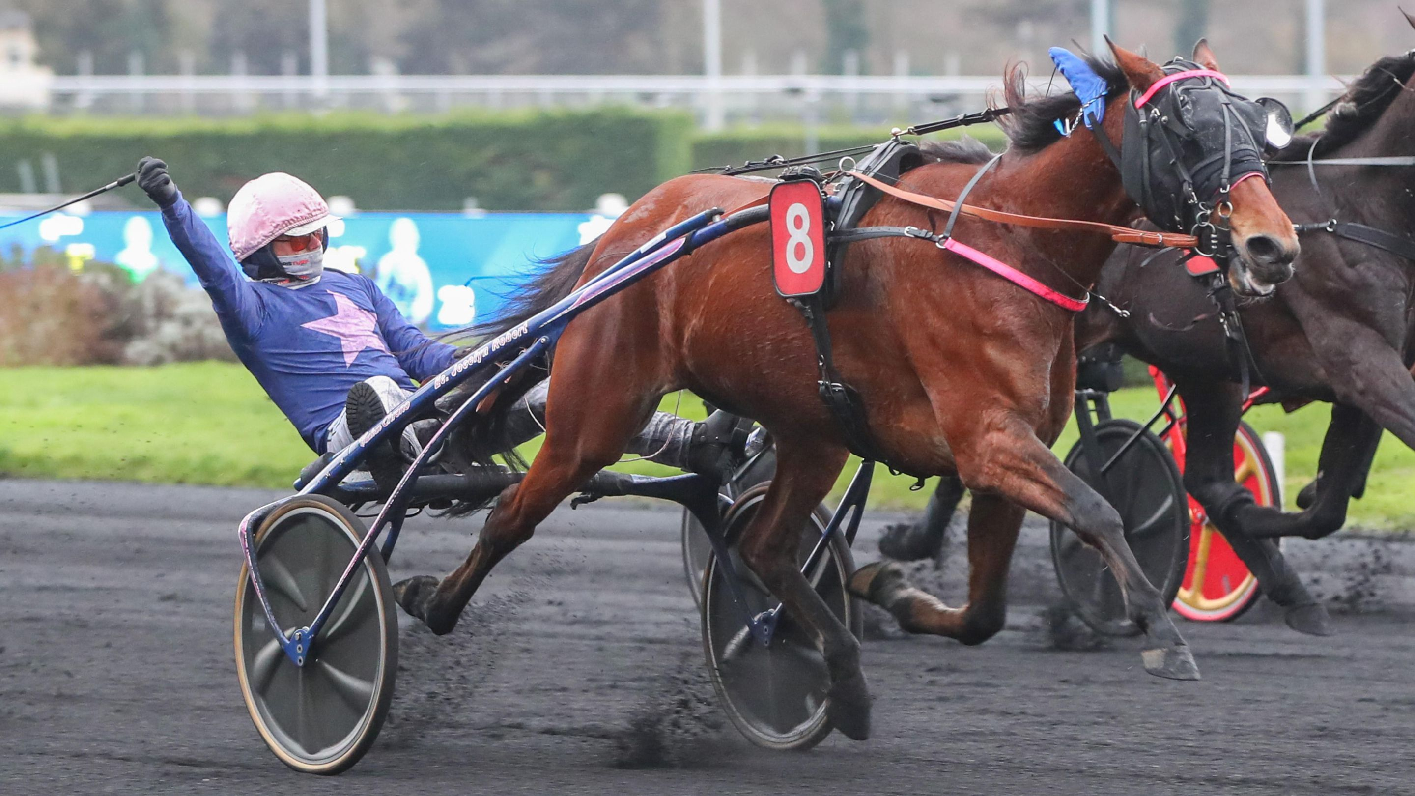 Rikita JP - © ScoopDyga