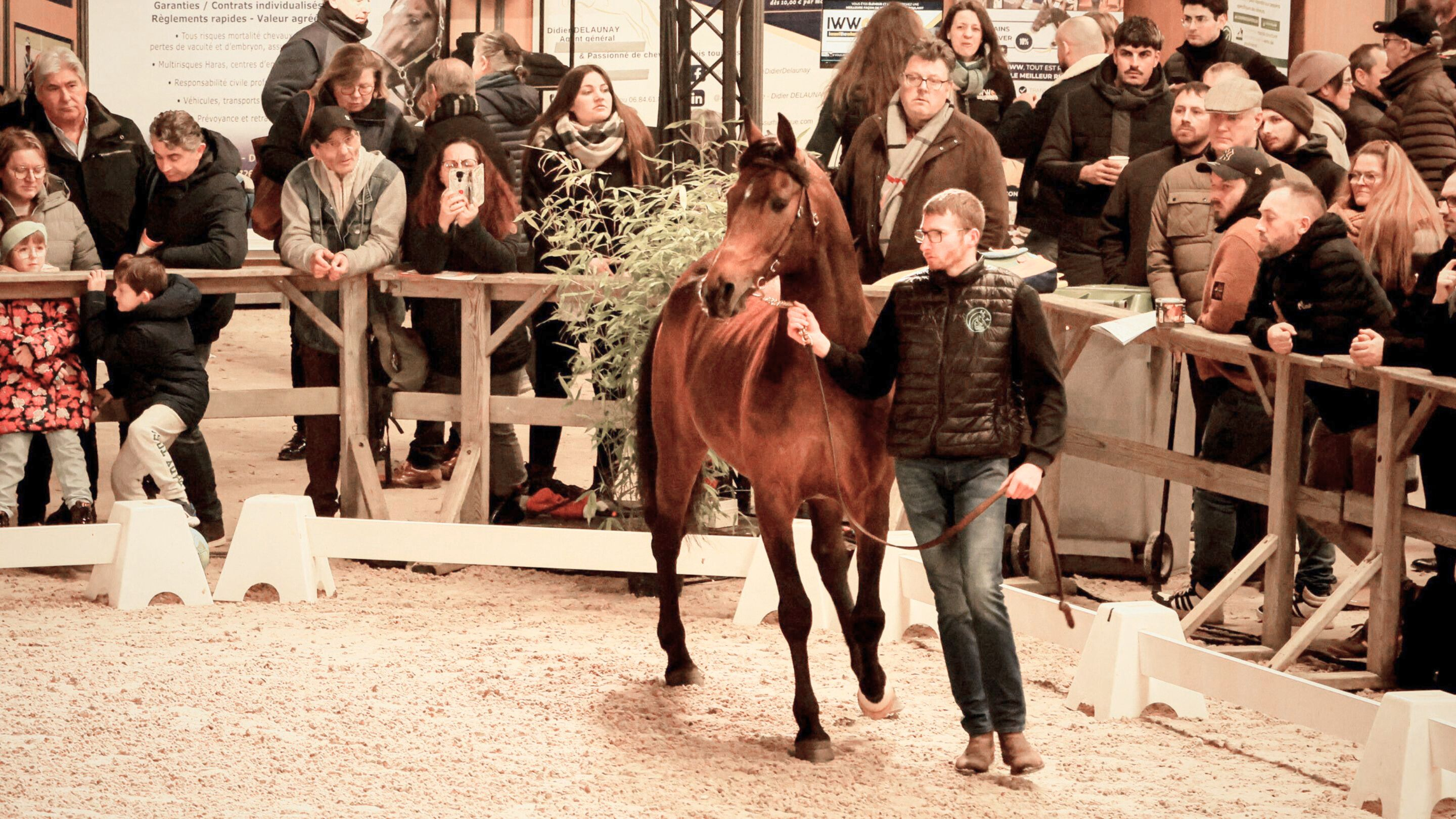 © Elen Morin/Cons. Chev. Normandie