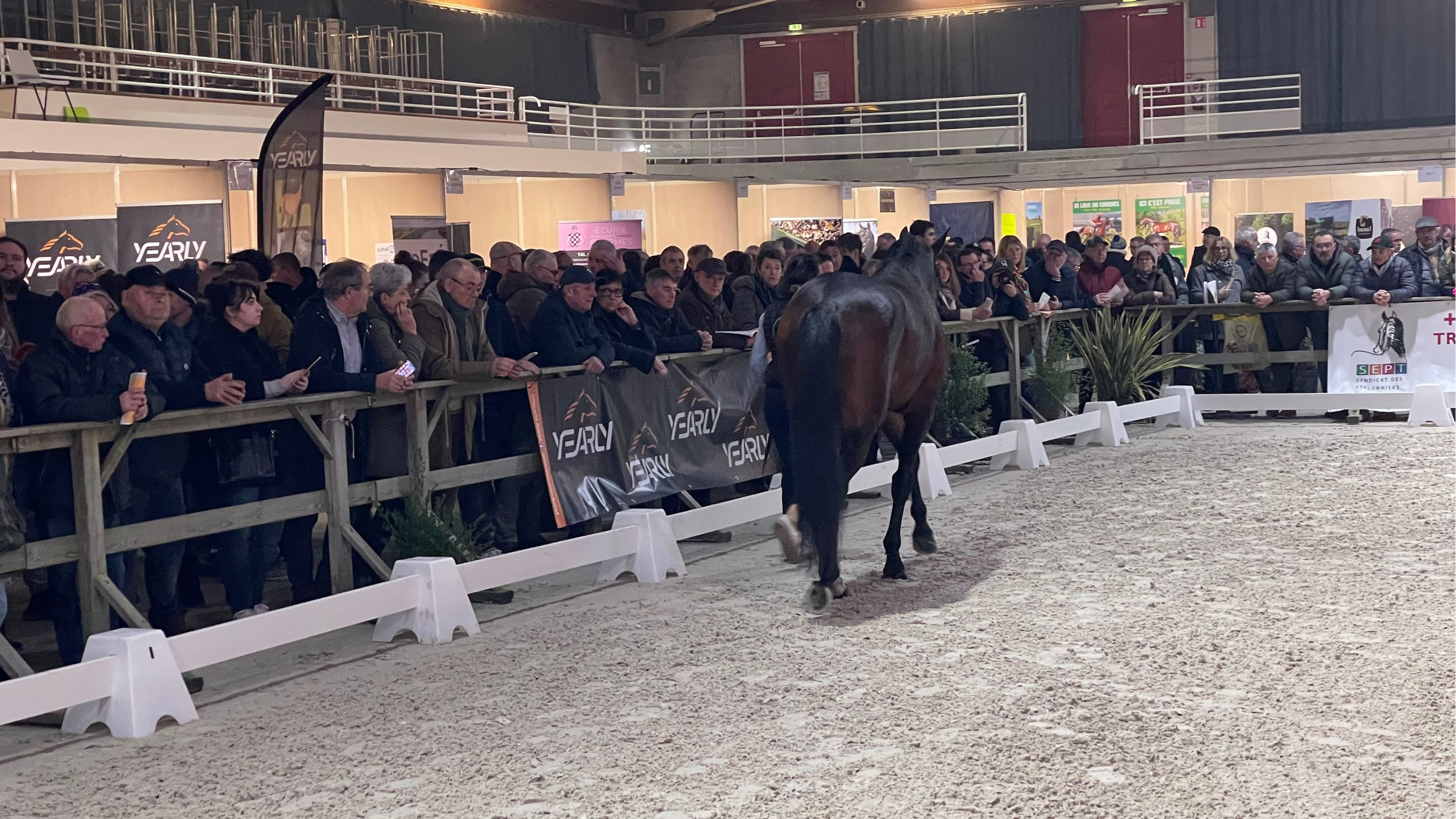 Le public nombreux lors de la présentation des étalons - © M. Kentell