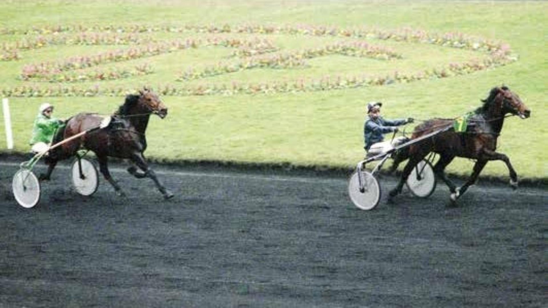 ©DR - Sancho Pança domine Rêve d'Udon dans le Prix de Sélection