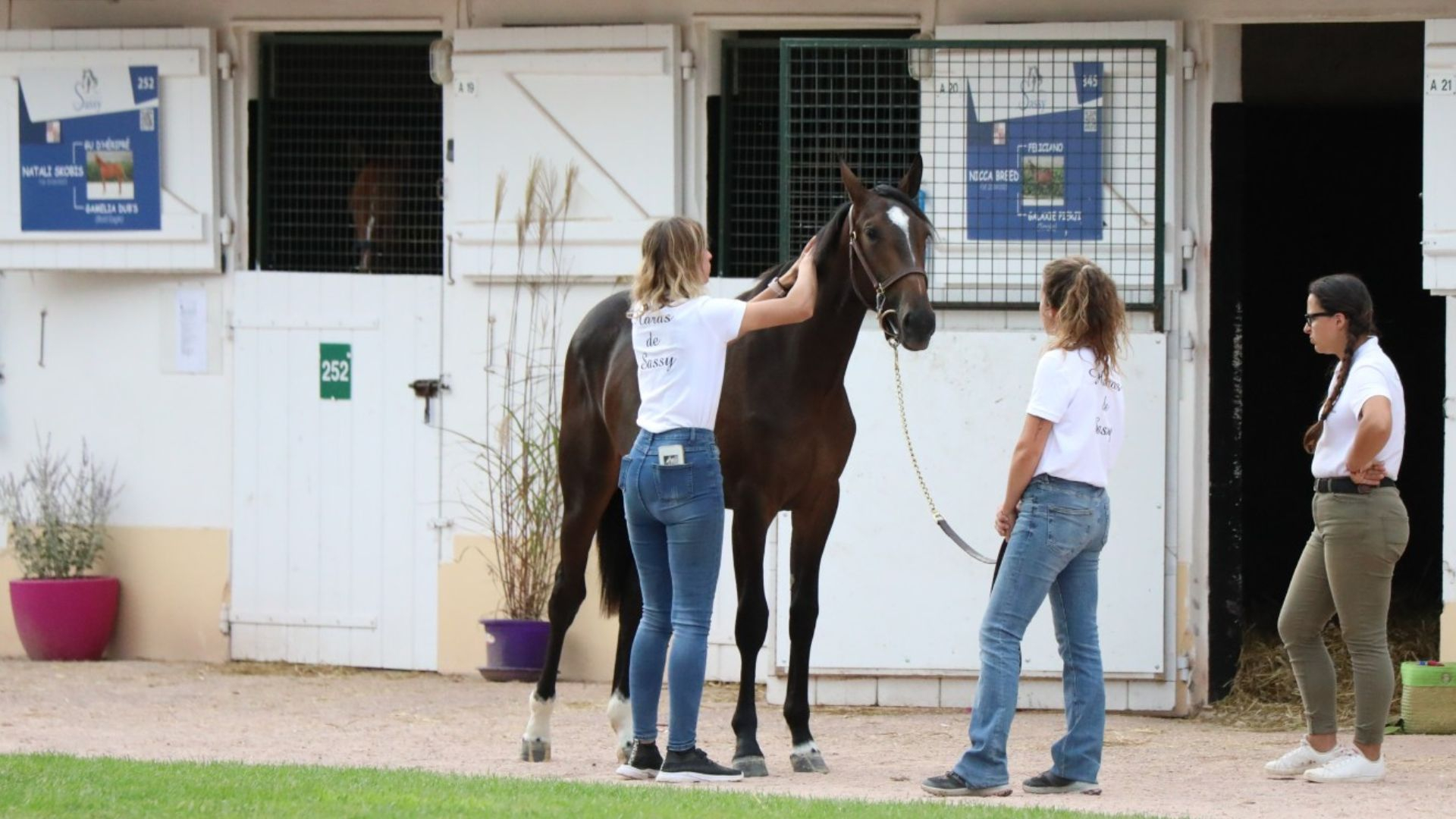 Haras de Sassy, Antoine et Aurélie Lhérété