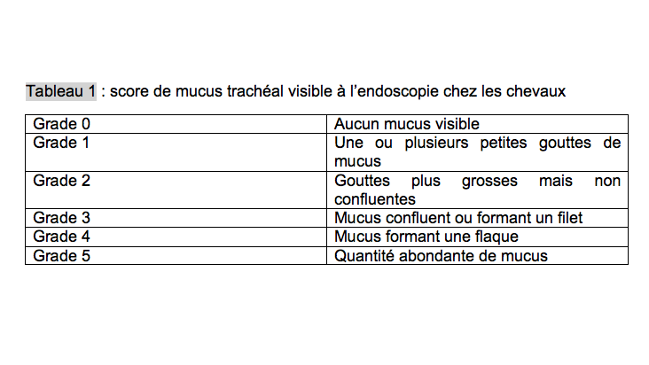 L'asthme équin : définition,  diagnostic et prise en charge