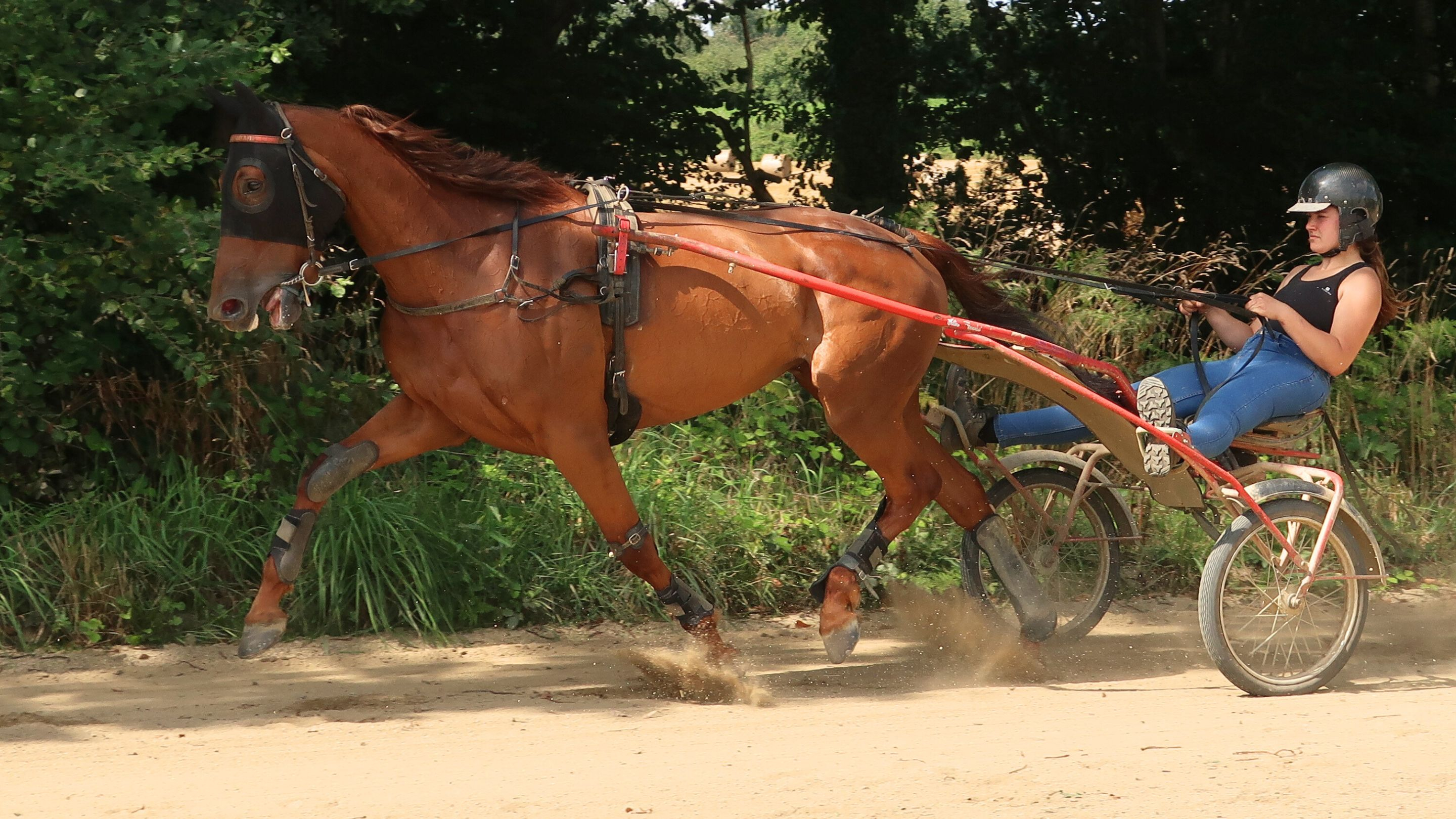 Séance de travail pour Kalinka de Sée et Élise Privat - © Province Courses