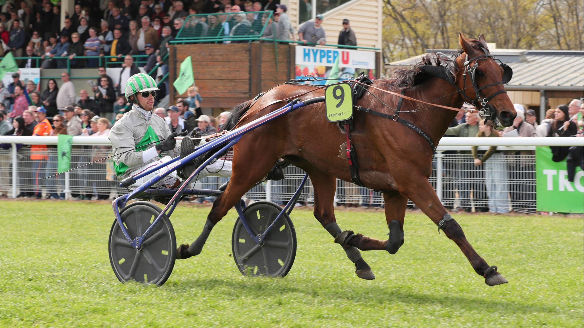 Just de l'Oison - © J.-C. Briens