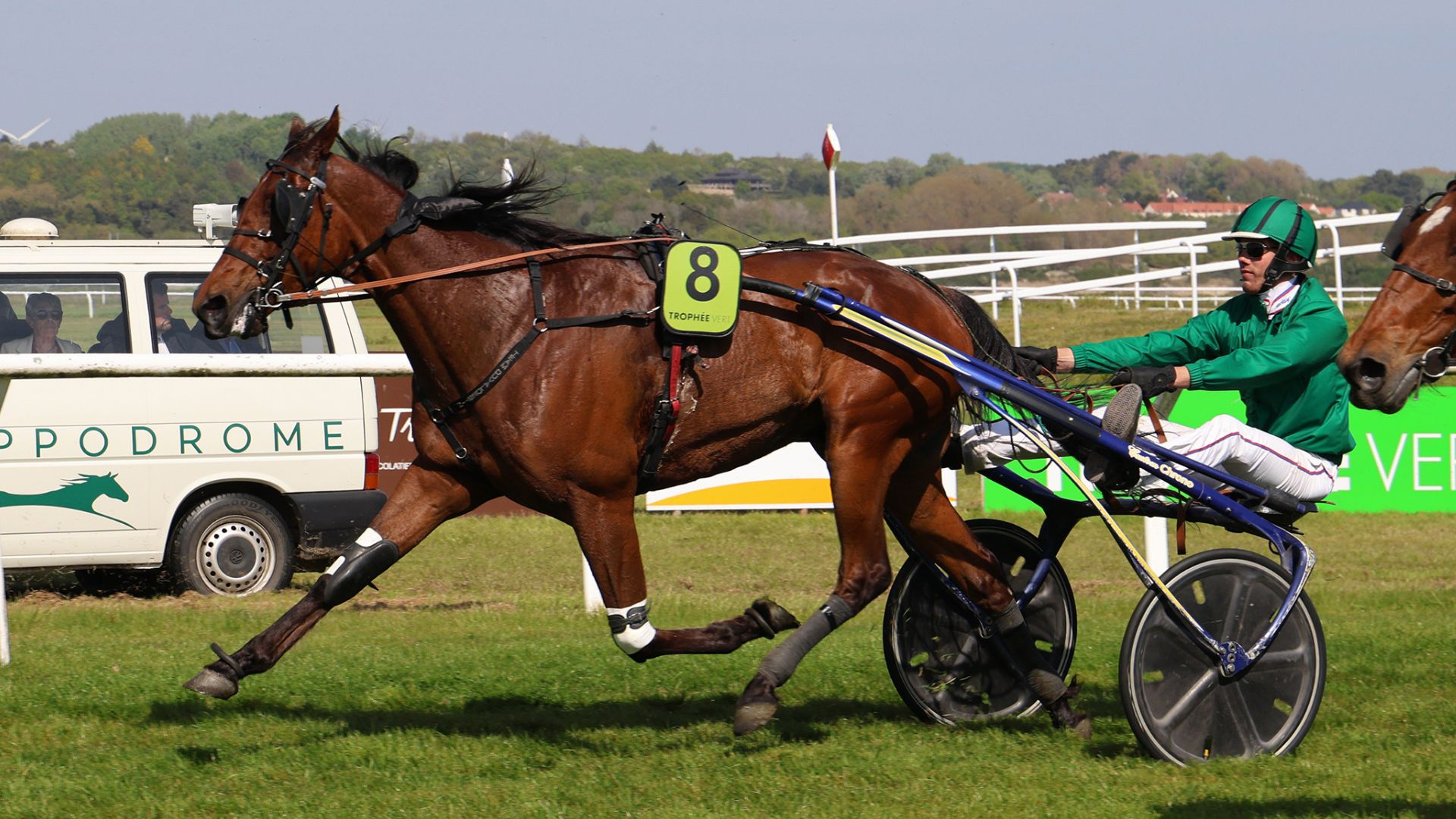 Just de l'Oison - ©Alexia Del Prato