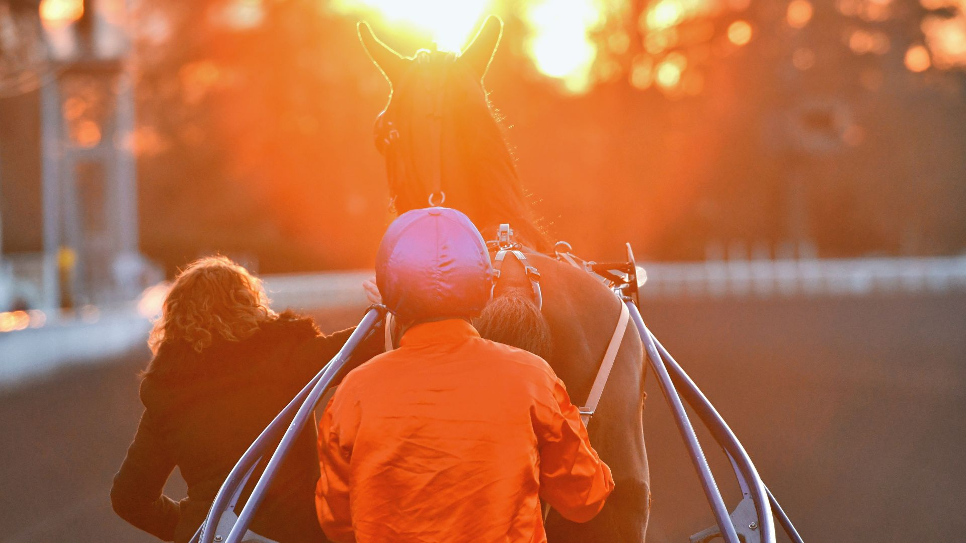 Hippodrome Paris-Vincennes