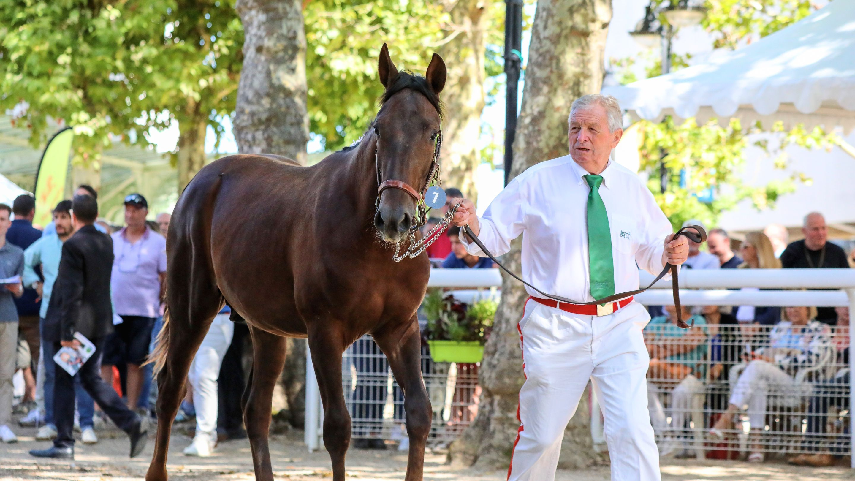 Ambiance d'un jour de vente - © P. Lefaucheux/PC